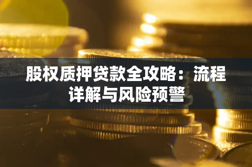 北京股权质押贷款全攻略：流程详解与风险预警
