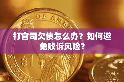 北京打官司欠债怎么办？如何避免败诉风险？