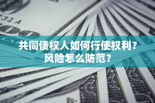 北京共同债权人如何行使权利？风险怎么防范？