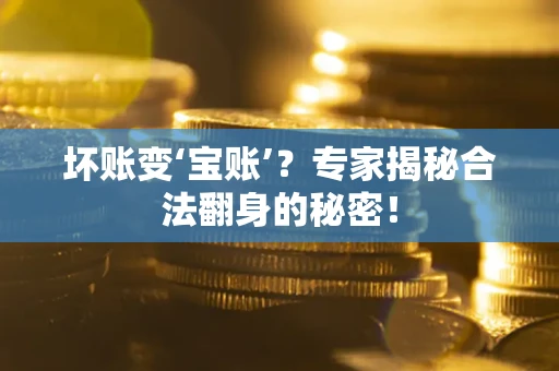 北京坏账变‘宝账’？专家揭秘合法翻身的秘密！