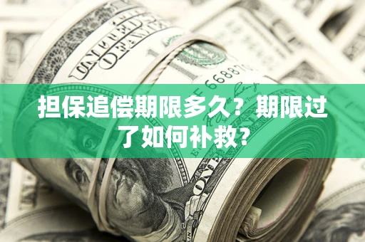 北京担保追偿期限多久？期限过了如何补救？