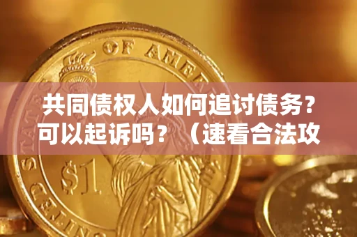 北京共同债权人如何追讨债务？可以起诉吗？（速看合法攻略）