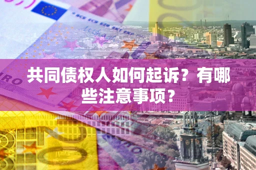 北京共同债权人如何起诉？有哪些注意事项？